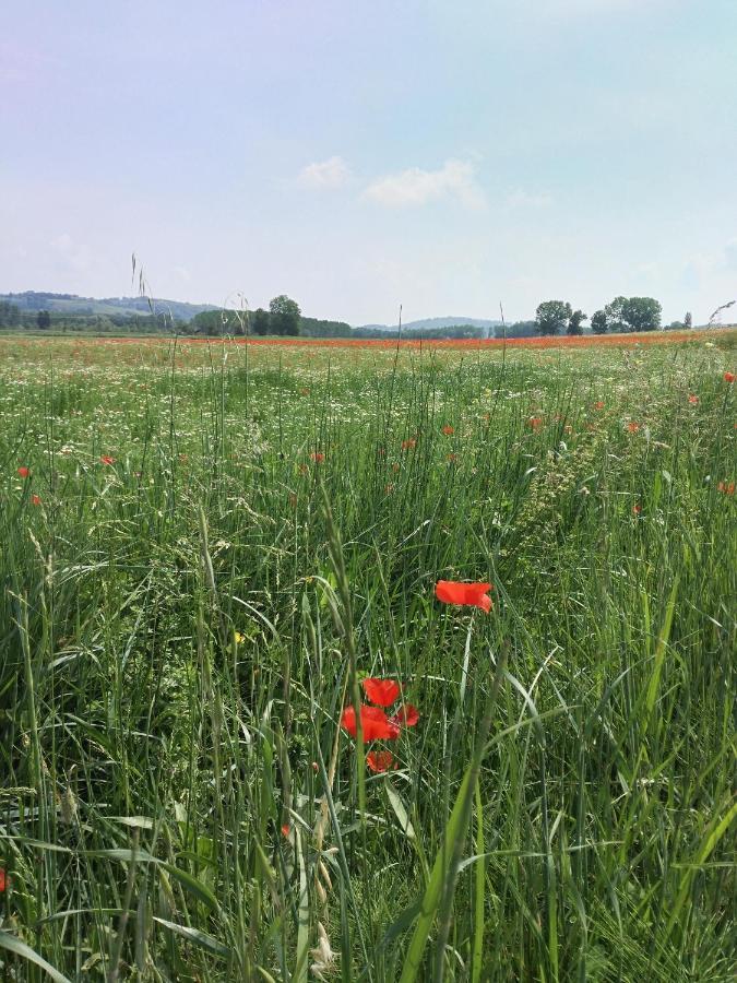 Bio Agriturismo Pratini Monte Lopio Kültér fotó