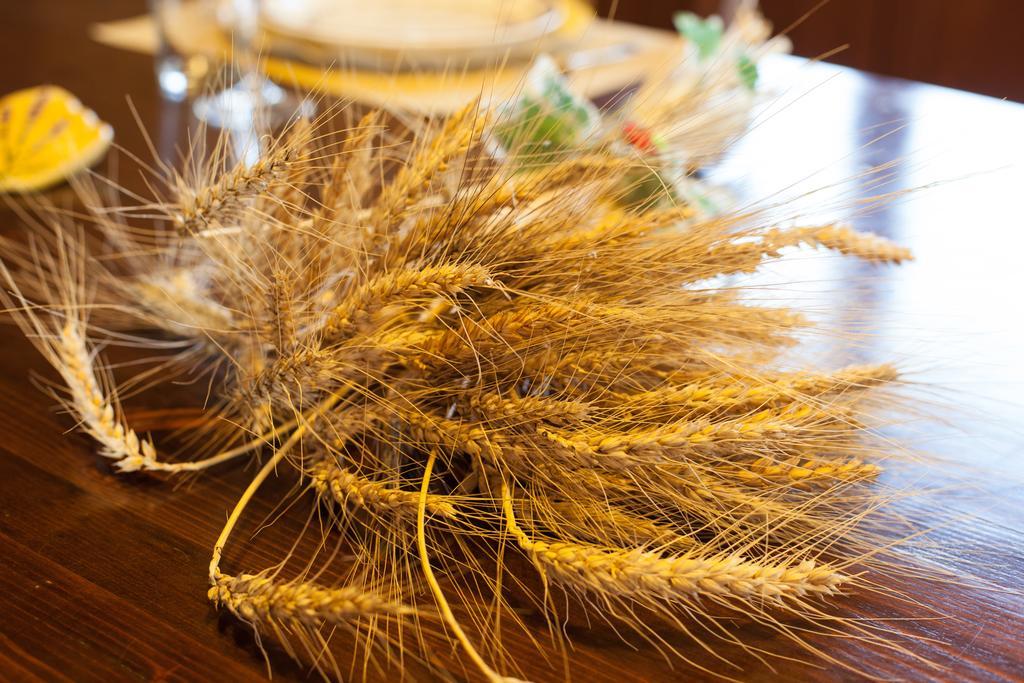Bio Agriturismo Pratini Monte Lopio Kültér fotó