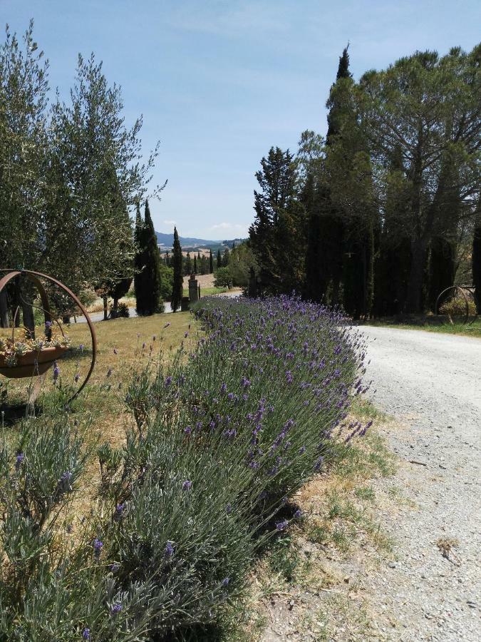 Bio Agriturismo Pratini Monte Lopio Kültér fotó